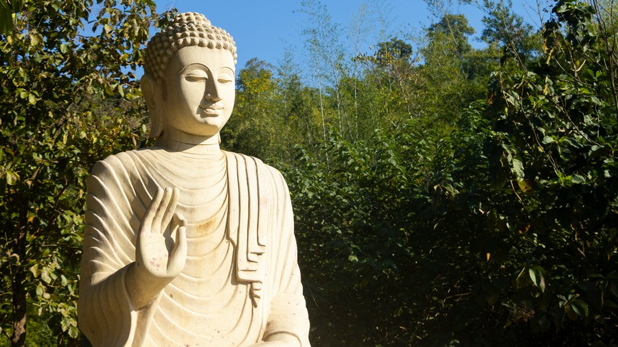 Buddha statue in forest.